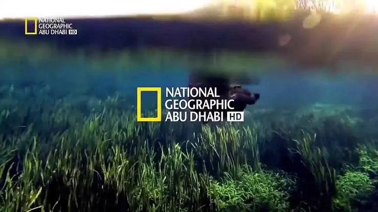 تردد قناة ناشيونال جيوغرافيك ابو ظبي Nat geo Abu Dhabi على النايل سات وعربسات